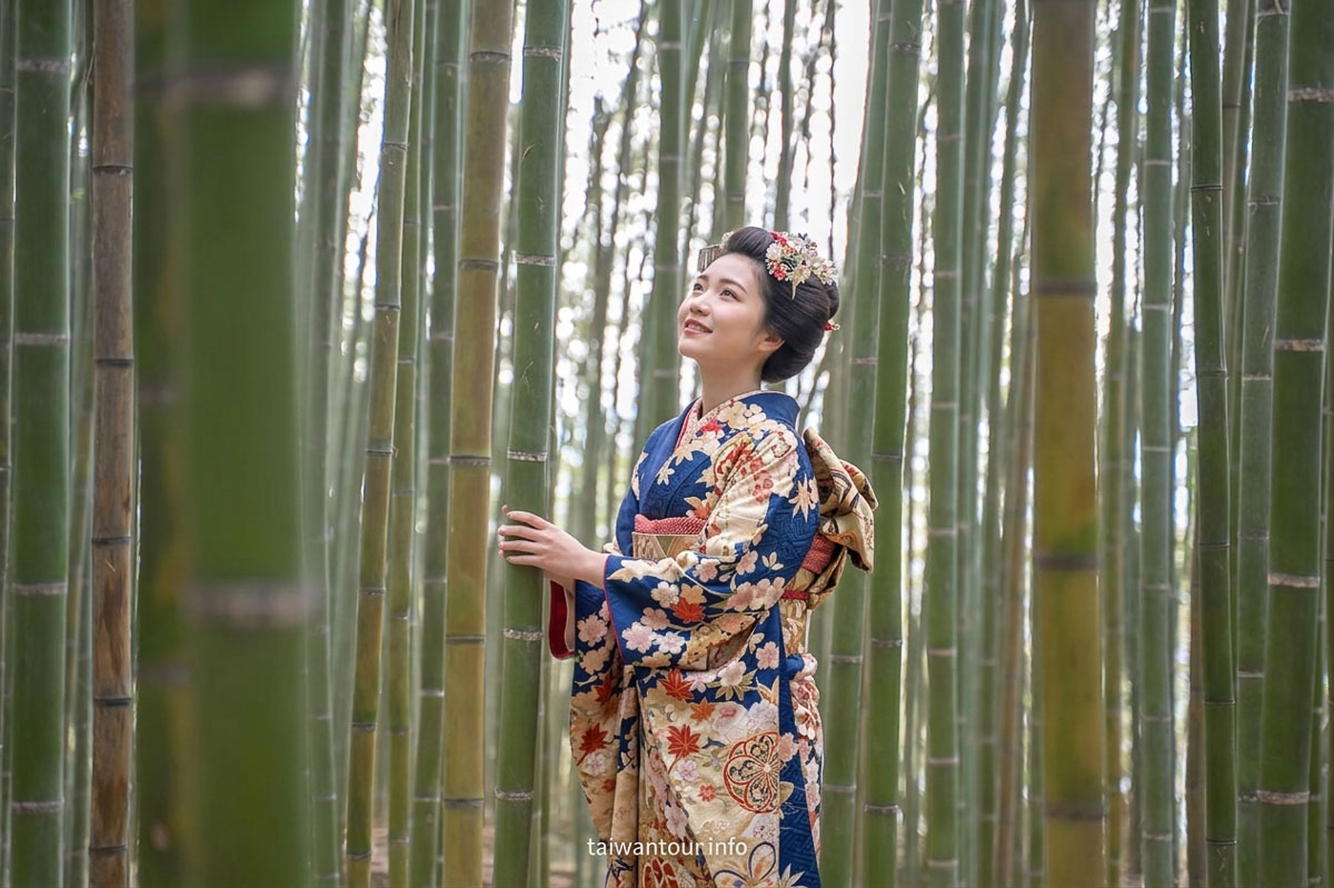 【烏嘎彥竹林】苗栗泰安秘境怎麼去.交通路線.停車路況.附近景點 【烏嘎彥竹林】苗栗泰安秘境怎麼去.交通路線.停車路況.附近景點