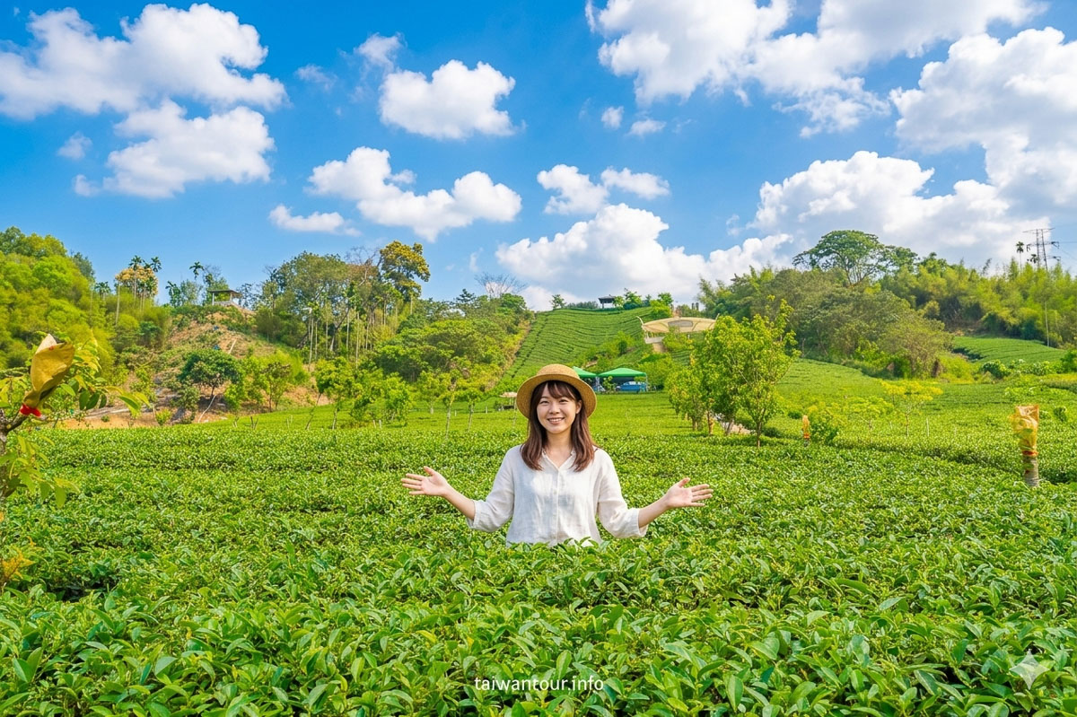 【竹山鹿谷螢火蟲兩天一夜行程推薦】南投景點.美食