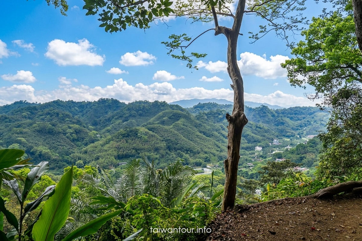 【百吉林蔭步道】桃園健行螢火蟲與懷舊古道