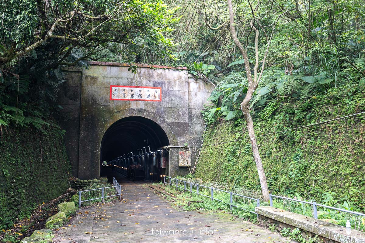 【百吉林蔭步道】桃園健行螢火蟲與懷舊古道