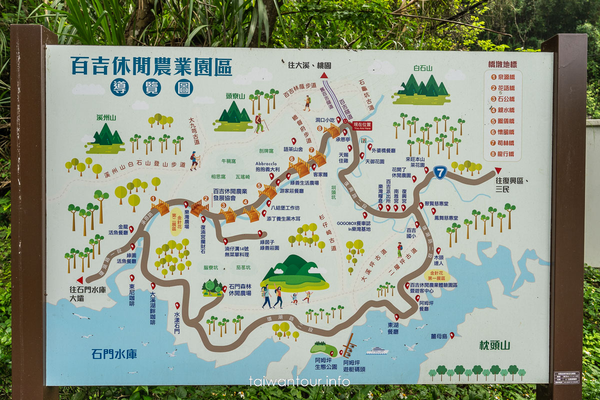 【百吉林蔭步道】桃園健行螢火蟲與懷舊古道