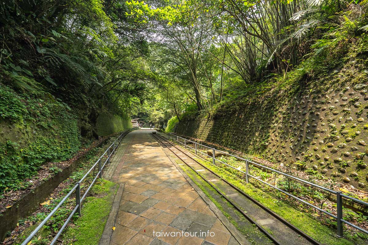 【百吉林蔭步道】桃園健行螢火蟲與懷舊古道