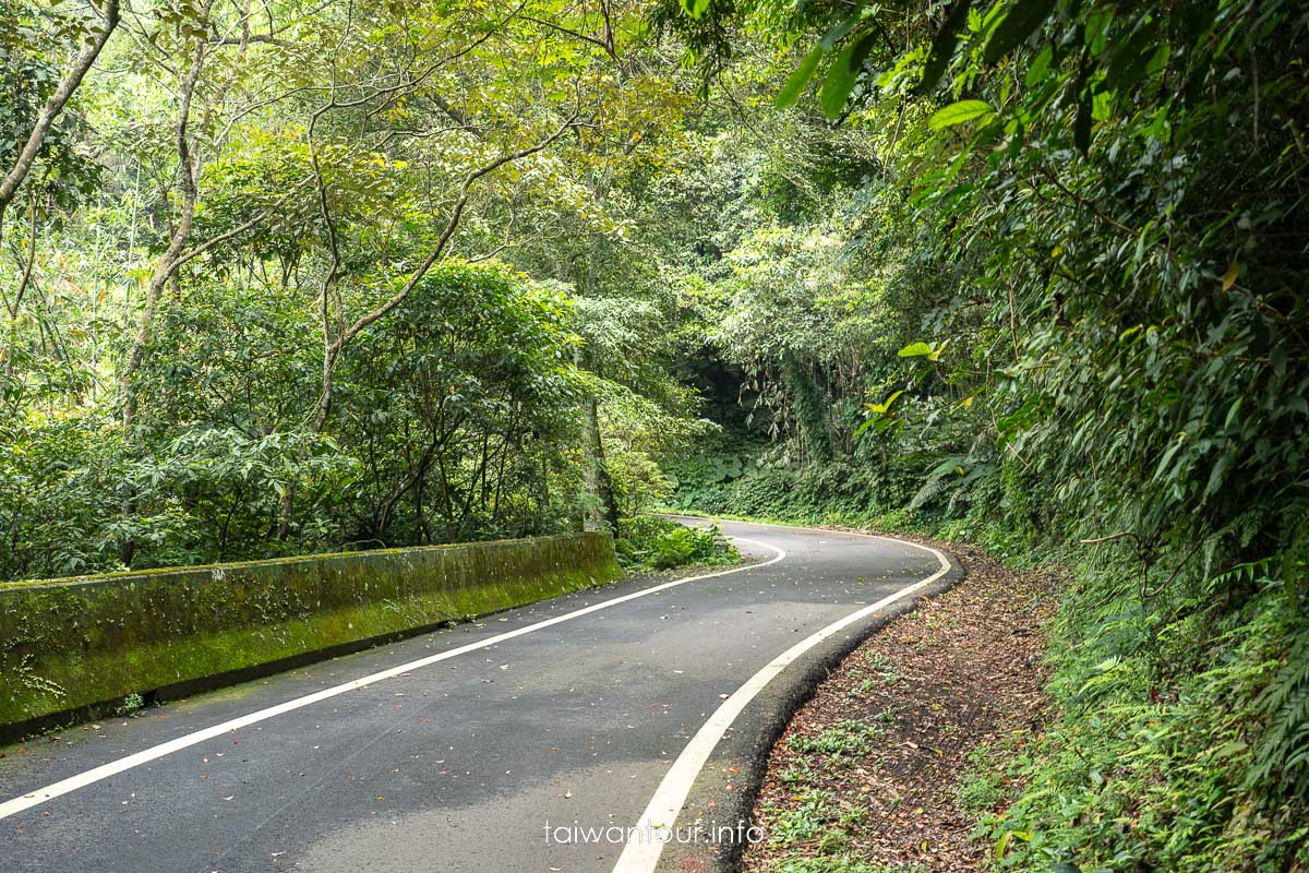 【百吉林蔭步道】桃園健行螢火蟲與懷舊古道