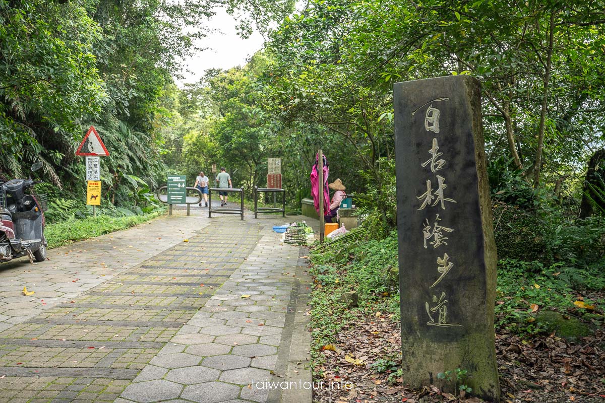 【百吉林蔭步道】桃園健行螢火蟲與懷舊古道