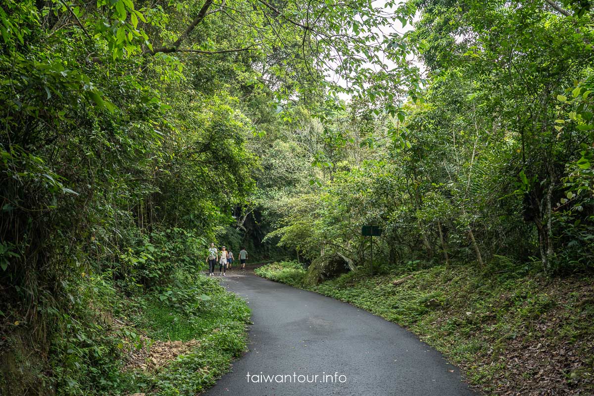 【百吉林蔭步道】桃園健行螢火蟲與懷舊古道