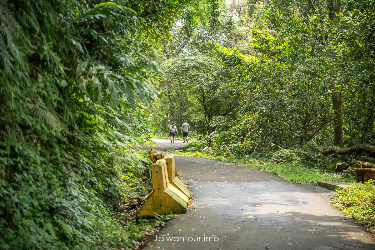 【百吉林蔭步道】桃園健行螢火蟲與懷舊古道