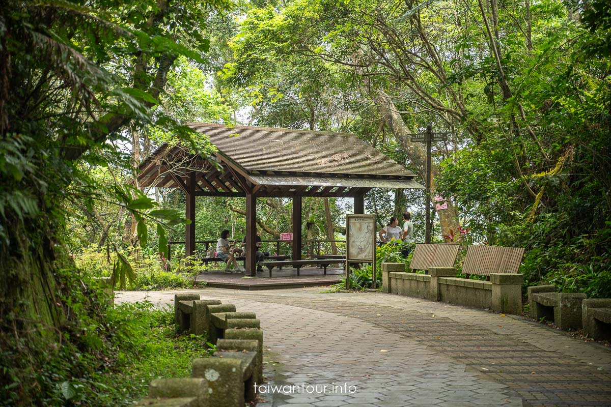 【百吉林蔭步道】桃園健行螢火蟲與懷舊古道