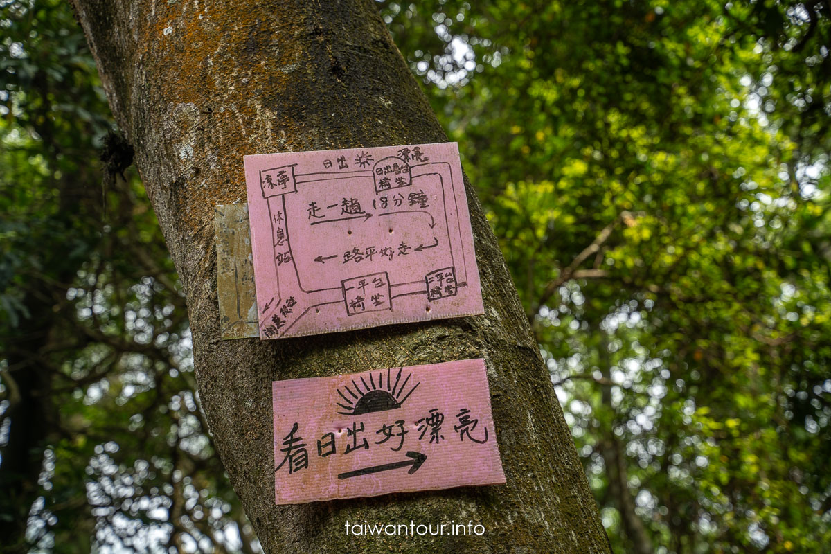 【百吉林蔭步道】桃園健行螢火蟲與懷舊古道