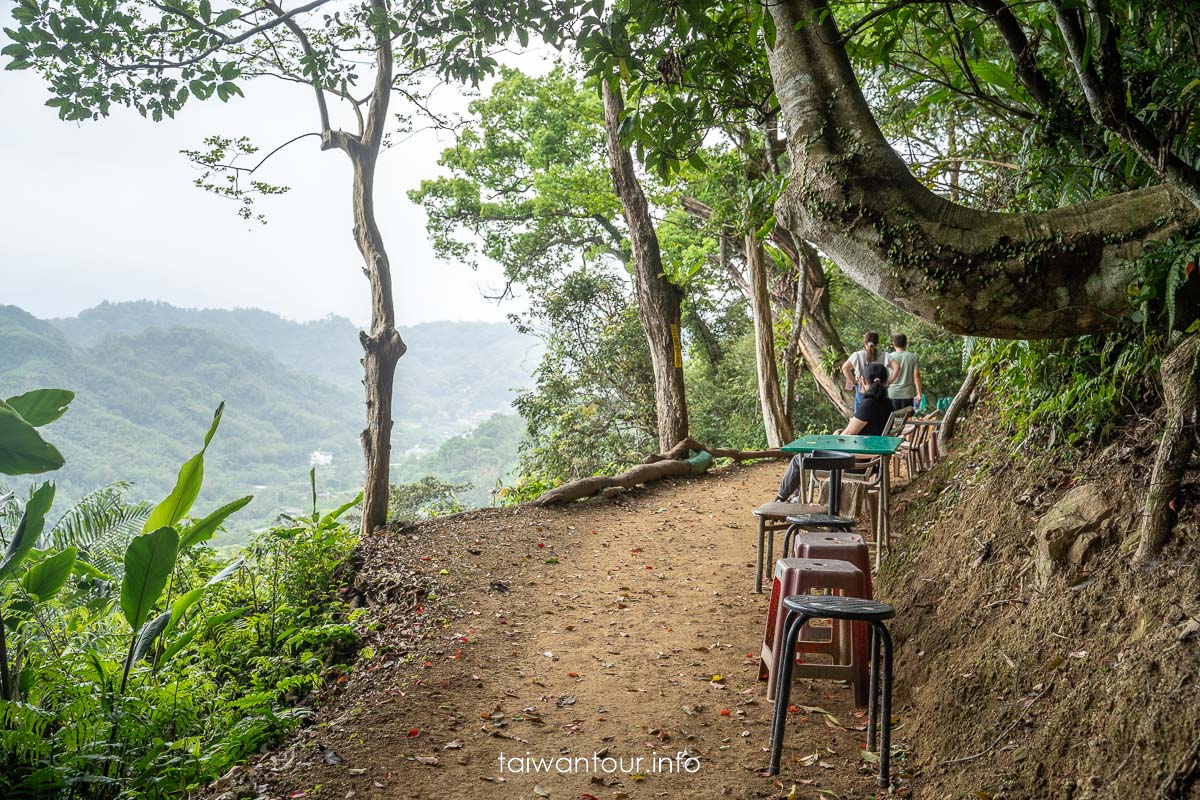 【百吉林蔭步道】桃園健行螢火蟲與懷舊古道