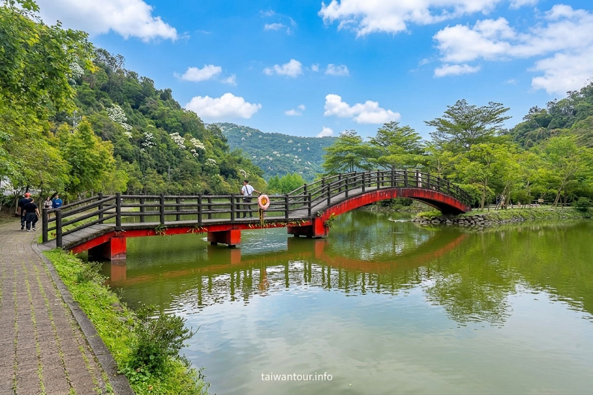 【望龍埤.飛龍步道】花田村.宜蘭員山鄉景點推薦.附近美食
