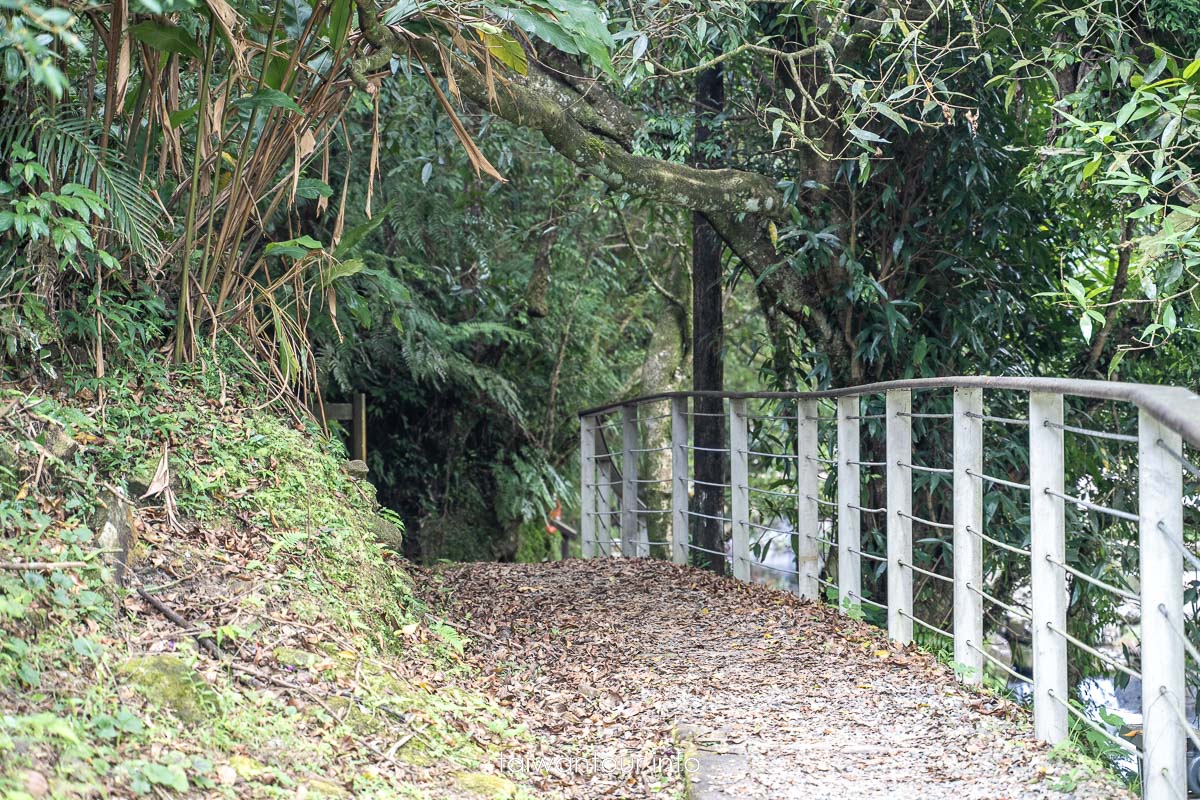 【虎豹潭古道】北台灣小九寨溝！碧綠溪水.森林系步道.雙溪一日遊攻略
