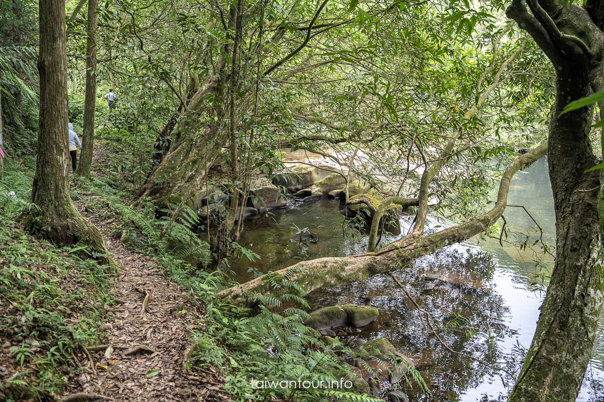 【虎豹潭古道】北台灣小九寨溝！碧綠溪水.森林系步道.雙溪一日遊攻略