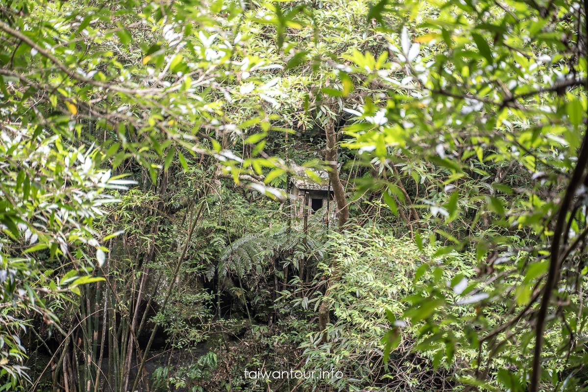 【虎豹潭古道】北台灣小九寨溝！碧綠溪水.森林系步道.雙溪一日遊攻略