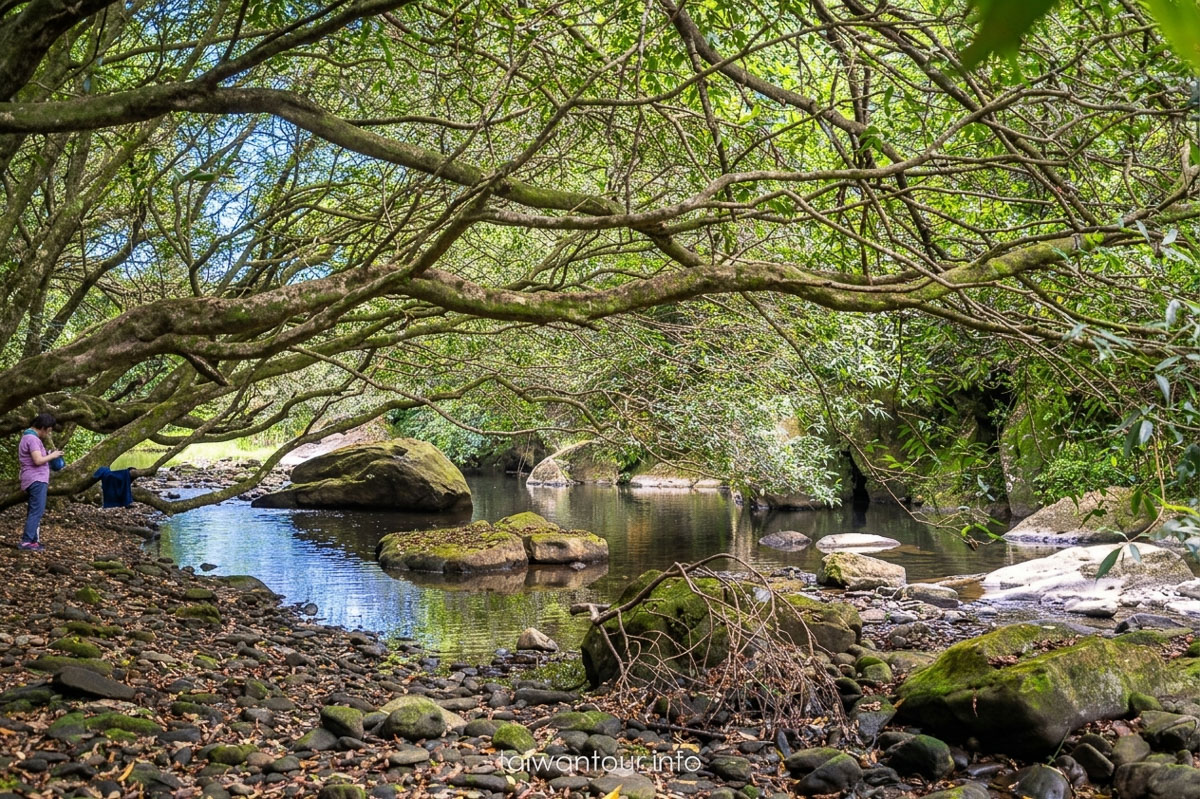 【虎豹潭古道】北台灣小九寨溝！碧綠溪水.森林系步道.雙溪一日遊攻略