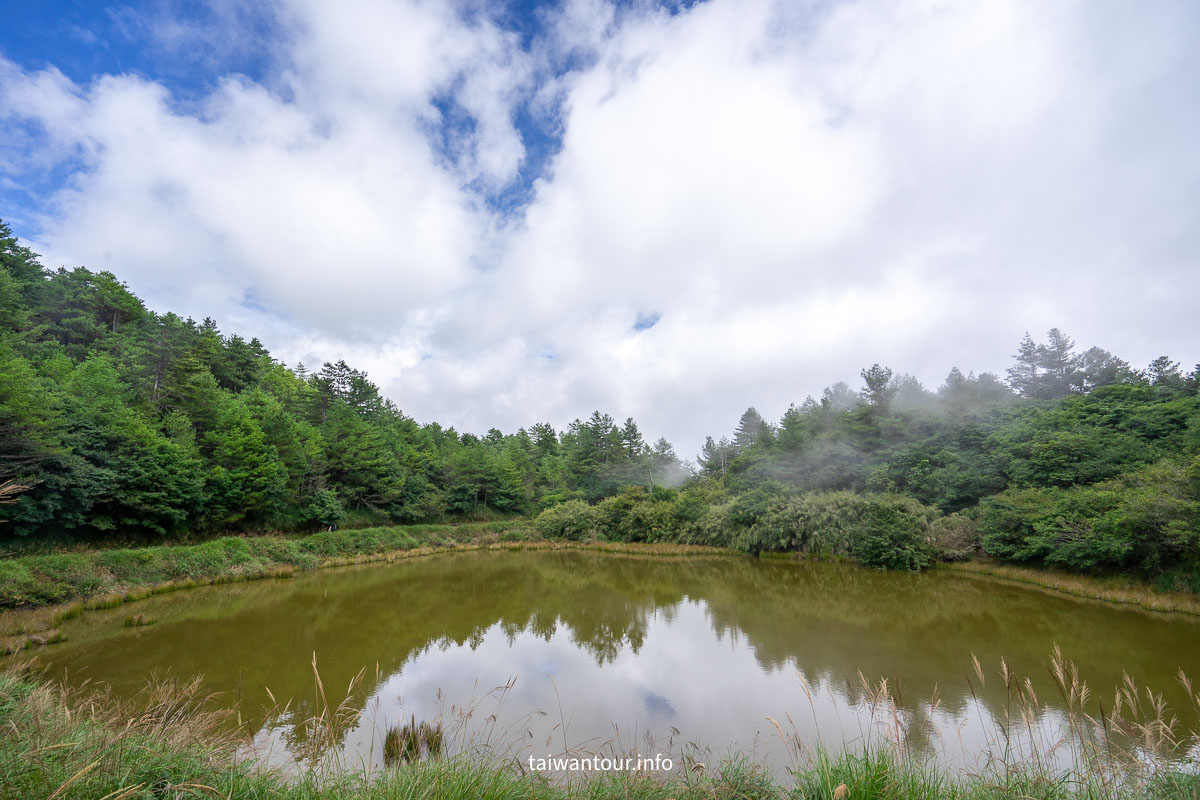【大雪山國家森林遊樂區】台中景點神木.雲海.觀星.賞鳥全包！