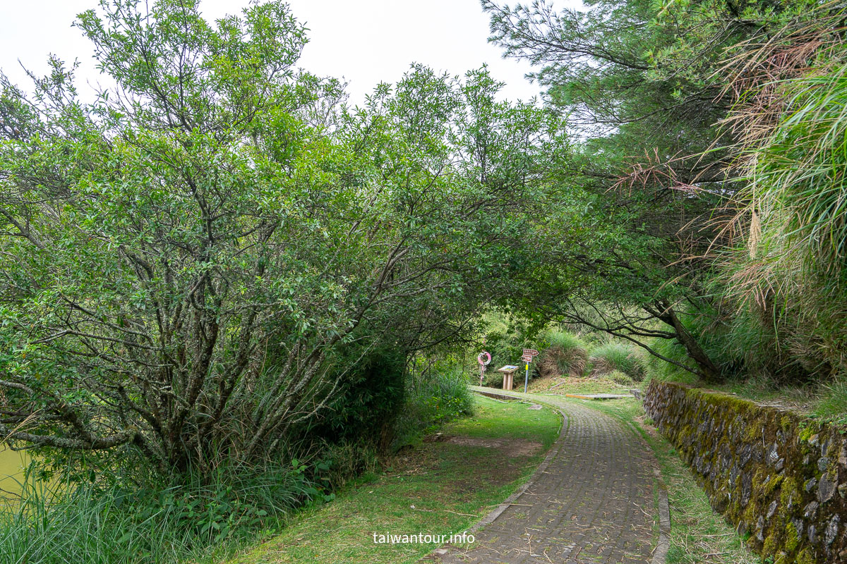 【大雪山國家森林遊樂區】台中景點神木.雲海.觀星.賞鳥全包！