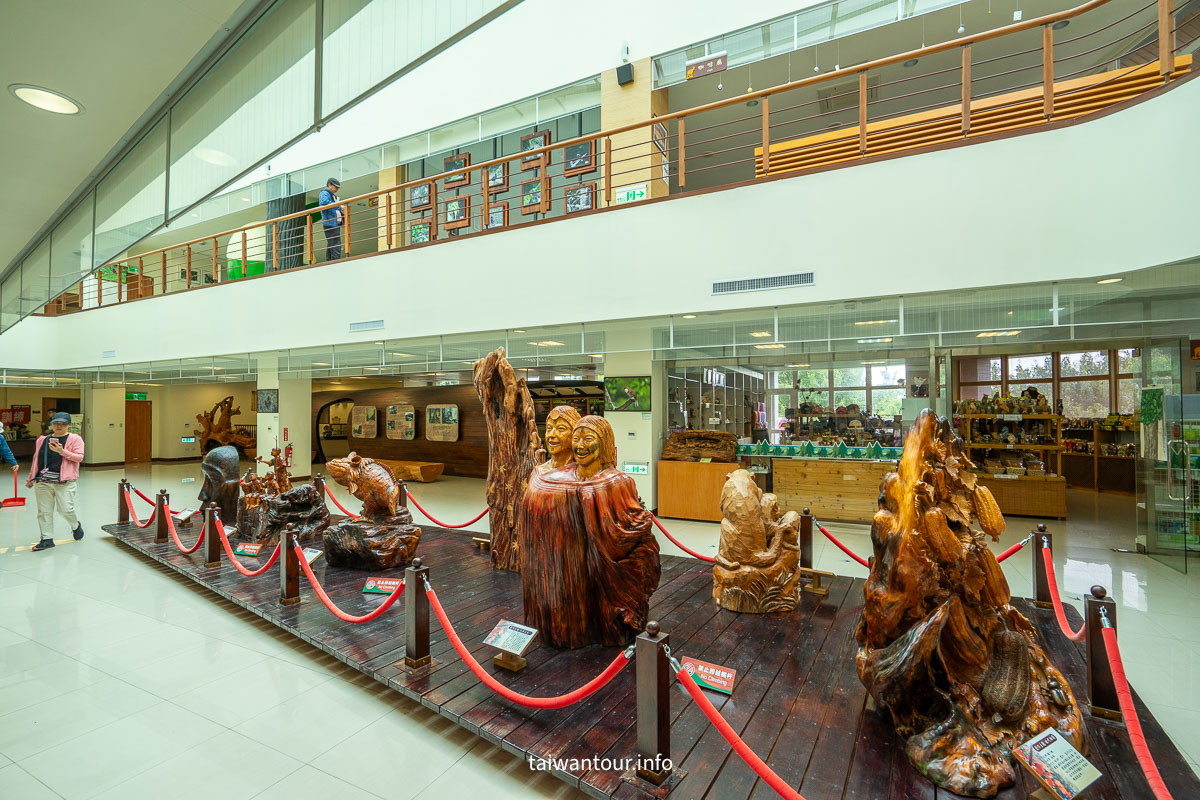 【大雪山國家森林遊樂區】台中景點神木.雲海.觀星.賞鳥全包！