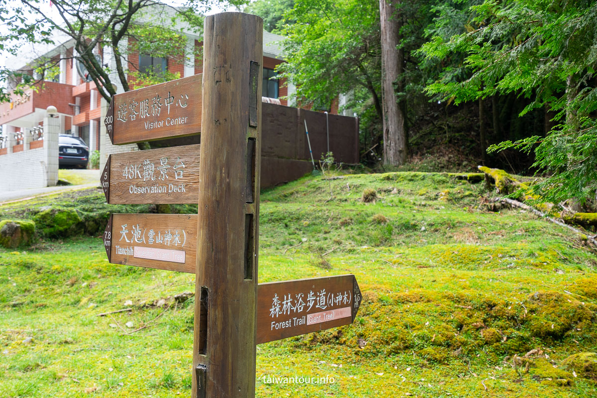 【大雪山森林浴步道】木馬道.巨木芬多精交通推薦