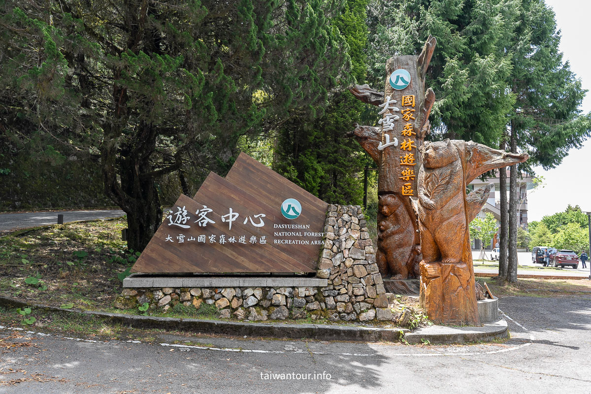 【大雪山國家森林遊樂區】台中景點神木.雲海.觀星.賞鳥全包！台灣好行889大雪山線