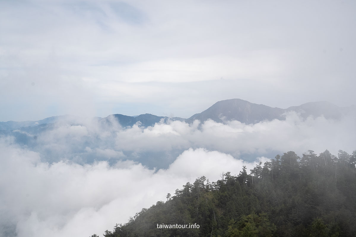 【大雪山國家森林遊樂區】台中景點神木.雲海.觀星.賞鳥全包！台灣好行889大雪山線