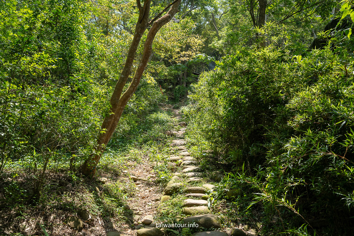 【挑炭古道||三通嶺古道】苗栗客家燒炭智慧與絕美山海景！