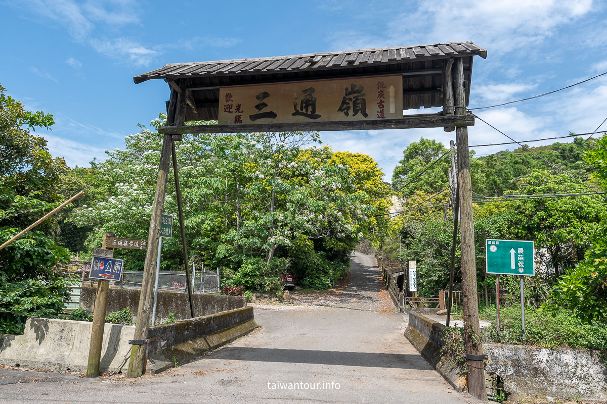 【挑炭古道||三通嶺古道】苗栗客家燒炭智慧與絕美山海景！