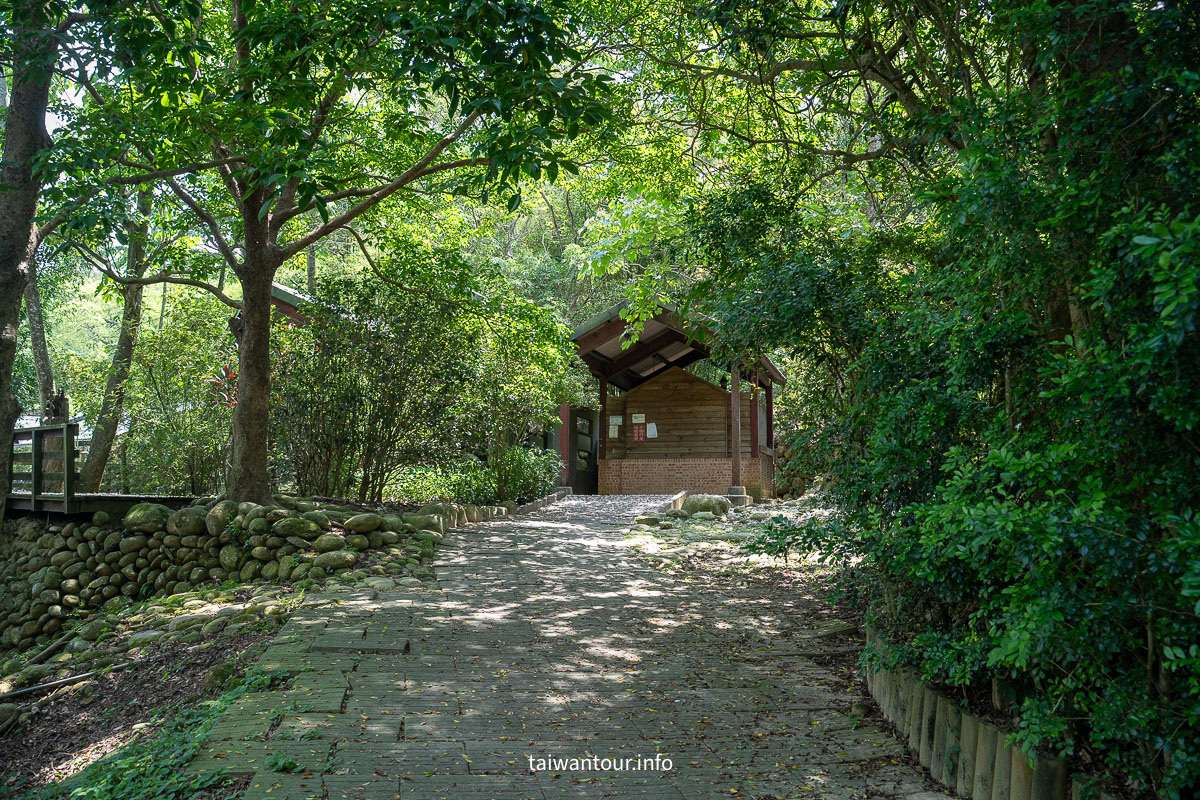 【挑炭古道||三通嶺古道】苗栗客家燒炭智慧與絕美山海景！