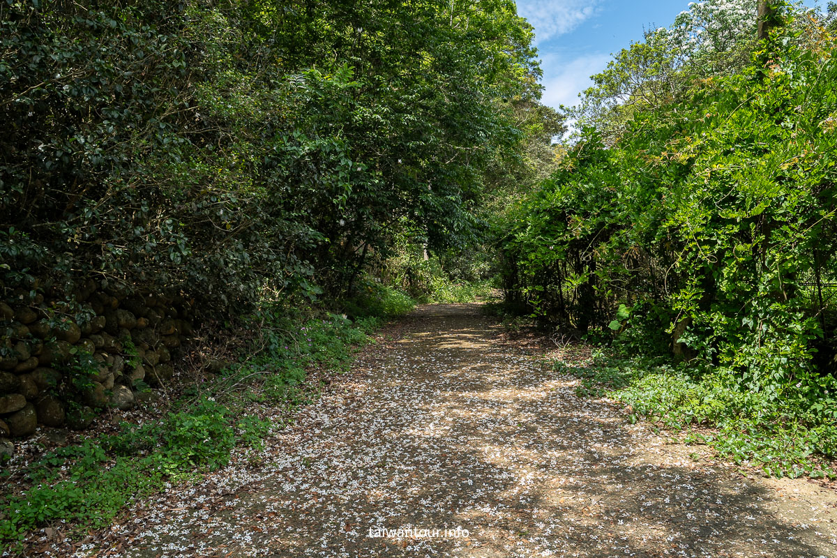 【挑炭古道||三通嶺古道】苗栗客家燒炭智慧與絕美山海景！