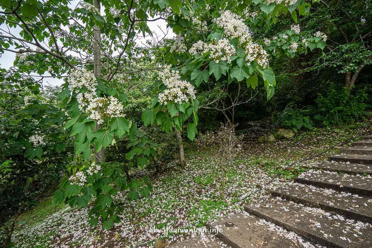 【漫步康莊大家來作客||大溪區康莊休閒農業發展協會】桃園景點親子一日遊