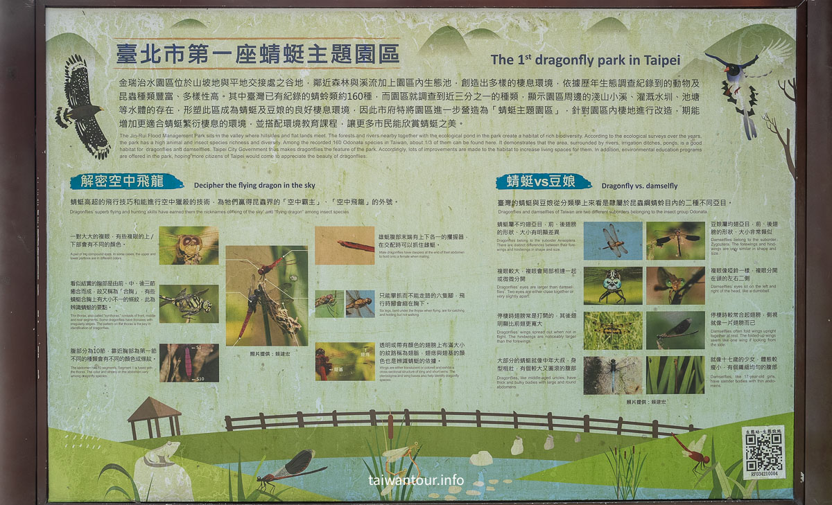 【 金瑞治水園區】內湖親子景點推薦.蜻蜓園區