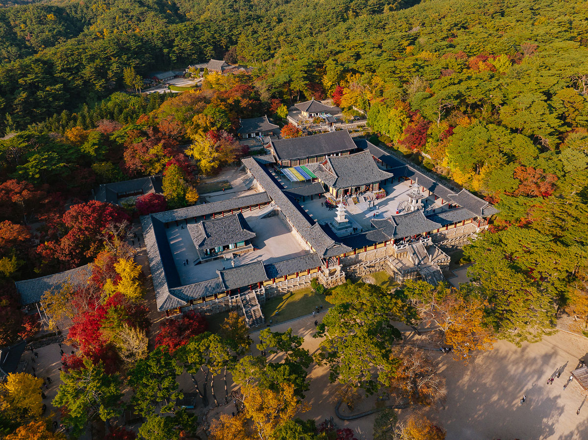 【慶州 4 天 3 夜行程與景點】帶你輕鬆玩遍「沒屋頂的博物館」，還有隱藏版美食！