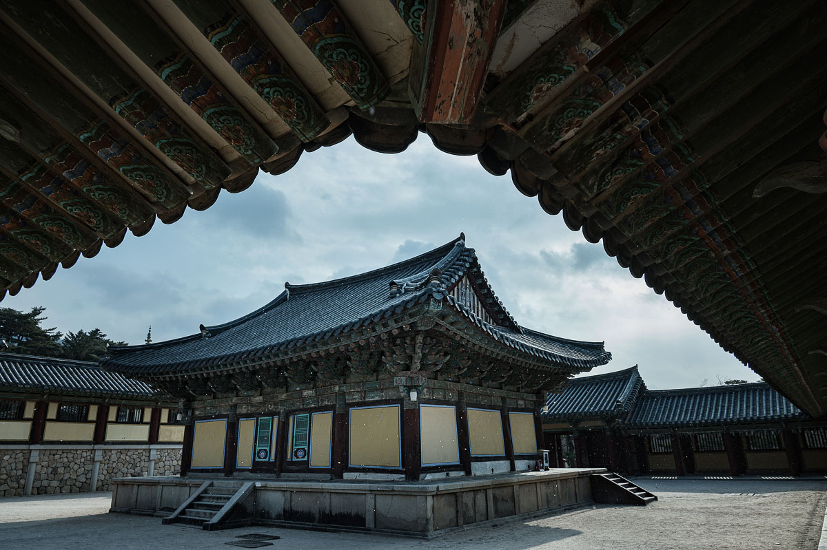 【慶州 4 天 3 夜行程與景點】帶你輕鬆玩遍「沒屋頂的博物館」,還有隱藏版美食! 【慶州 4 天 3 夜行程與景點】帶你輕鬆玩遍「沒屋頂的博物館」,還有隱藏版美食!