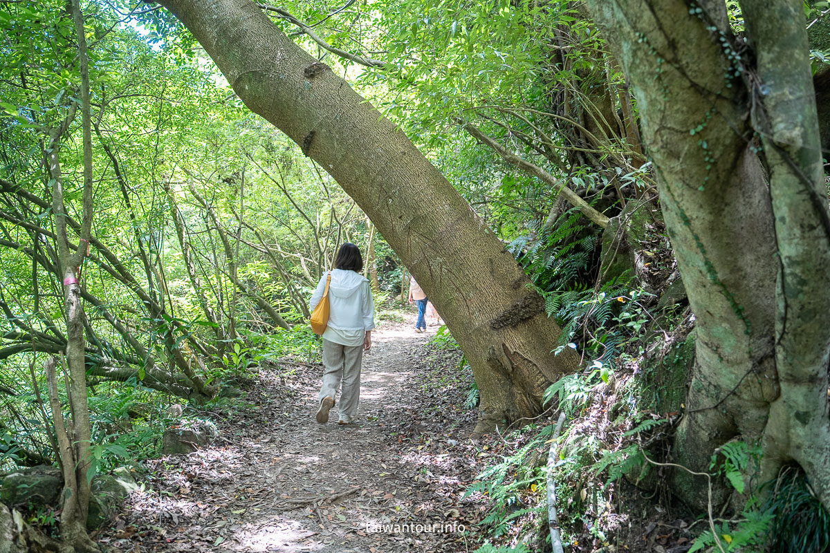【猴崁水圳步道】陽明山秘境.夏日避暑交通美食全攻略！