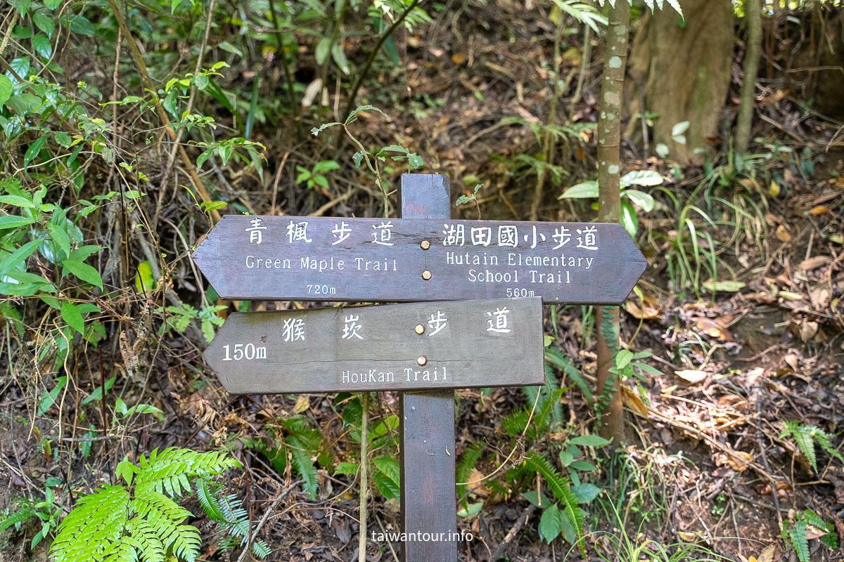 【猴崁水圳步道】陽明山秘境.夏日避暑交通美食全攻略! 【猴崁水圳步道】陽明山秘境.夏日避暑交通美食全攻略!