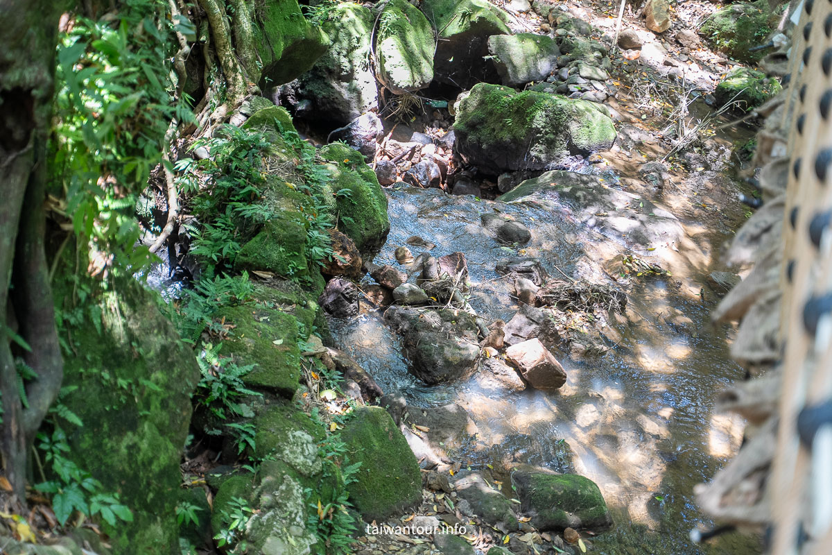 【猴崁水圳步道】陽明山秘境.夏日避暑交通美食全攻略! 【猴崁水圳步道】陽明山秘境.夏日避暑交通美食全攻略!