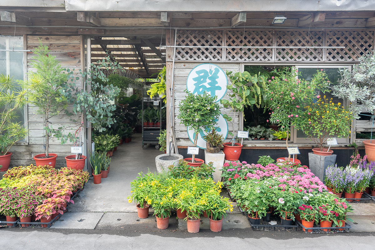 【台北聯合花市】北台灣綠植天堂!盆栽.園藝資材.陽台果樹一站購足,開車免費停! 【台北聯合花市】北台灣綠植天堂!盆栽.園藝資材.陽台果樹一站購足,開車免費停!