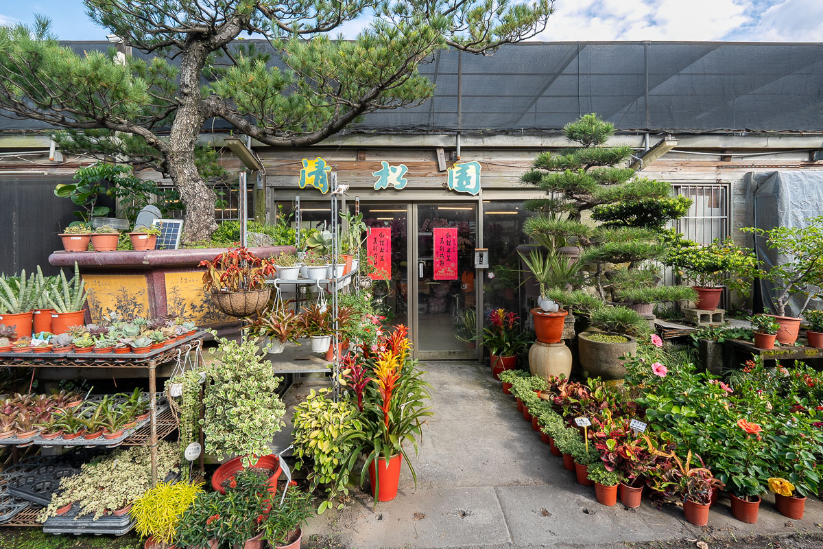【台北聯合花市】北台灣綠植天堂!盆栽.園藝資材.陽台果樹一站購足,開車免費停! 【台北聯合花市】北台灣綠植天堂!盆栽.園藝資材.陽台果樹一站購足,開車免費停!