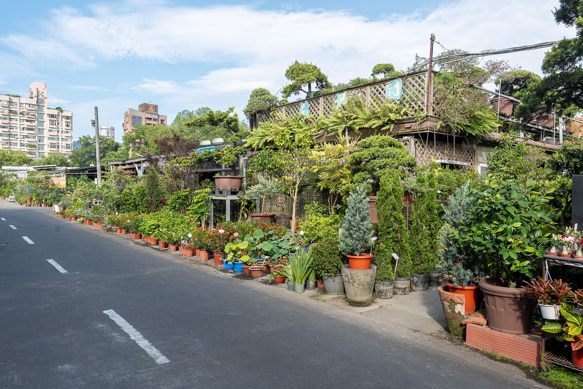 【台北聯合花市】北台灣綠植天堂!盆栽.園藝資材.陽台果樹一站購足,開車免費停! 【台北聯合花市】北台灣綠植天堂!盆栽.園藝資材.陽台果樹一站購足,開車免費停!