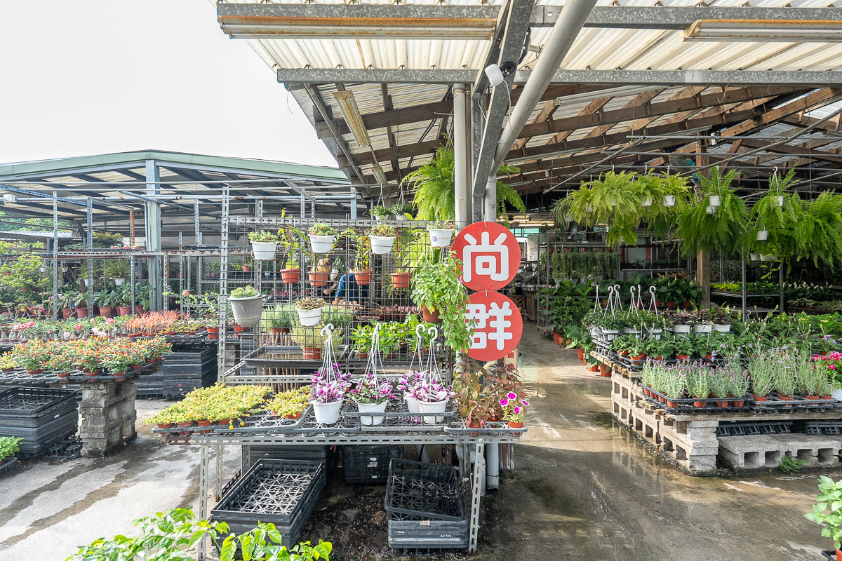 【台北聯合花市】北台灣綠植天堂!盆栽.園藝資材.陽台果樹一站購足,開車免費停! 【台北聯合花市】北台灣綠植天堂!盆栽.園藝資材.陽台果樹一站購足,開車免費停!