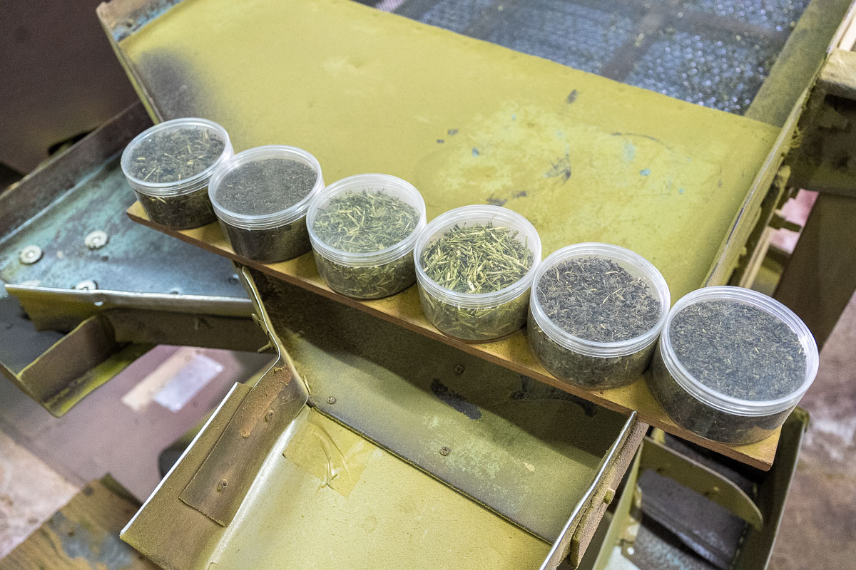 【台灣紅茶(股)公司（臺紅茶業文化館）】關西景點推薦.一窺昭和時代的台茶外銷黃金歲月