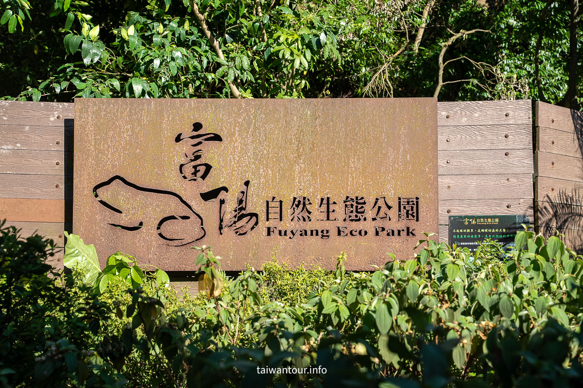 【富陽自然生態公園】台北森林系秘密基地完整指南