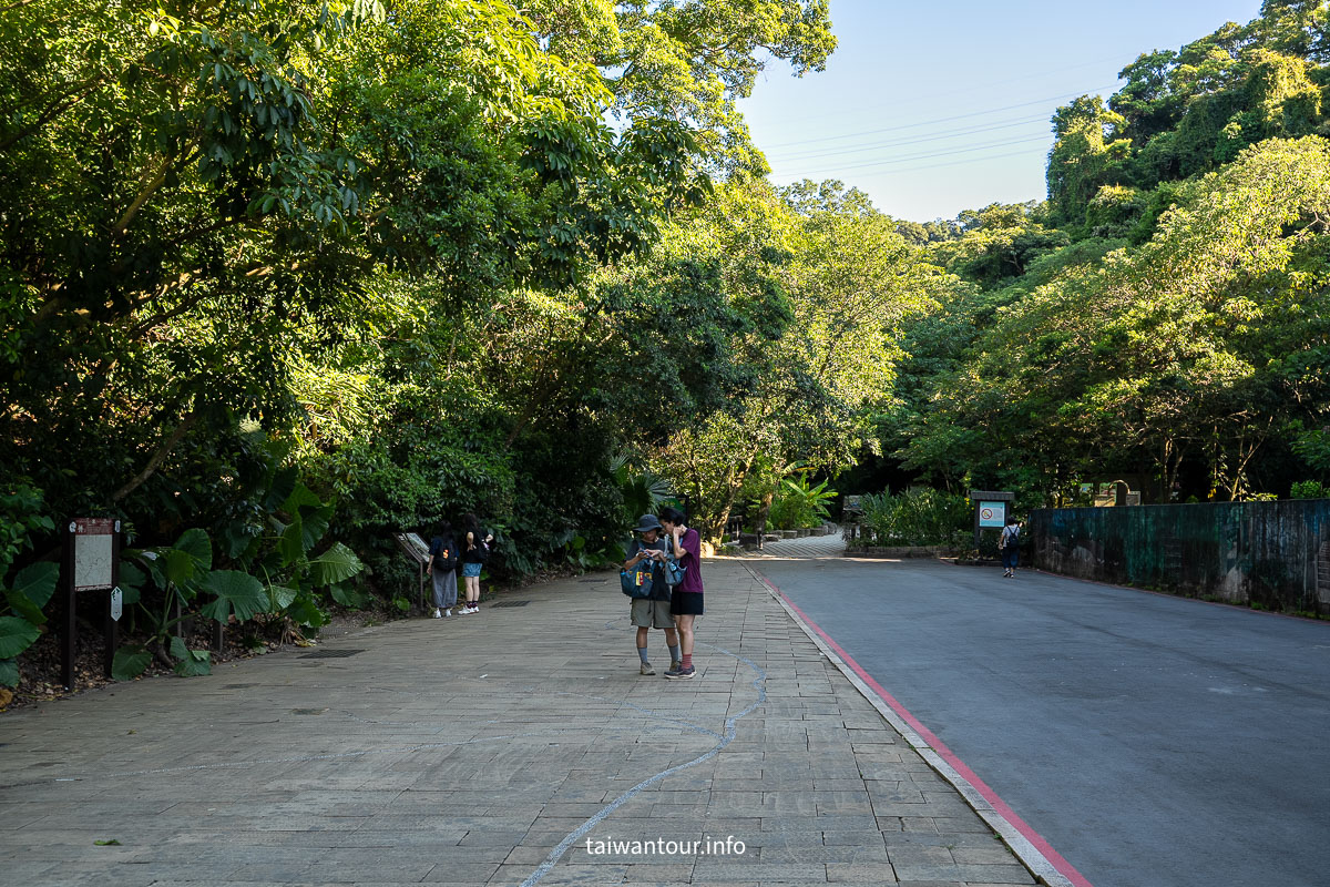 【富陽自然生態公園】台北森林系秘密基地完整指南