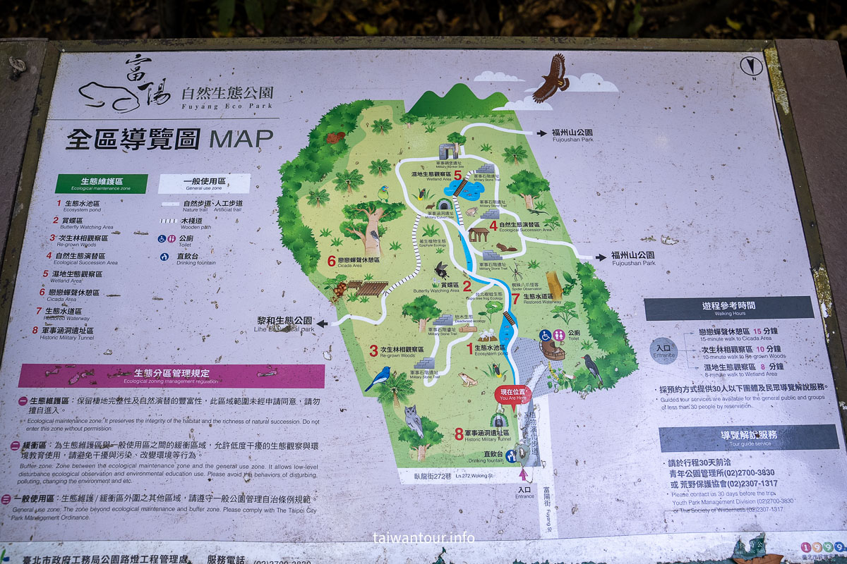 【富陽自然生態公園】台北森林系秘密基地完整指南