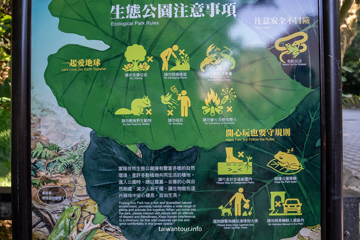 【富陽自然生態公園】台北森林系秘密基地完整指南