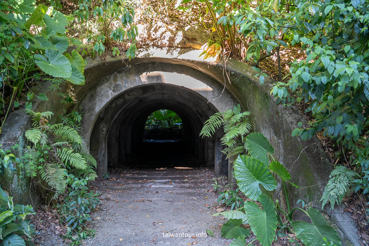 【富陽自然生態公園】台北森林系秘密基地完整指南
