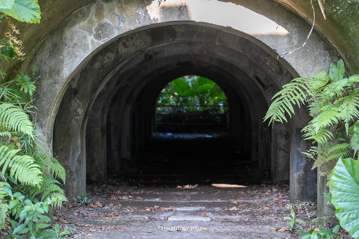 【富陽自然生態公園】台北森林系秘密基地完整指南