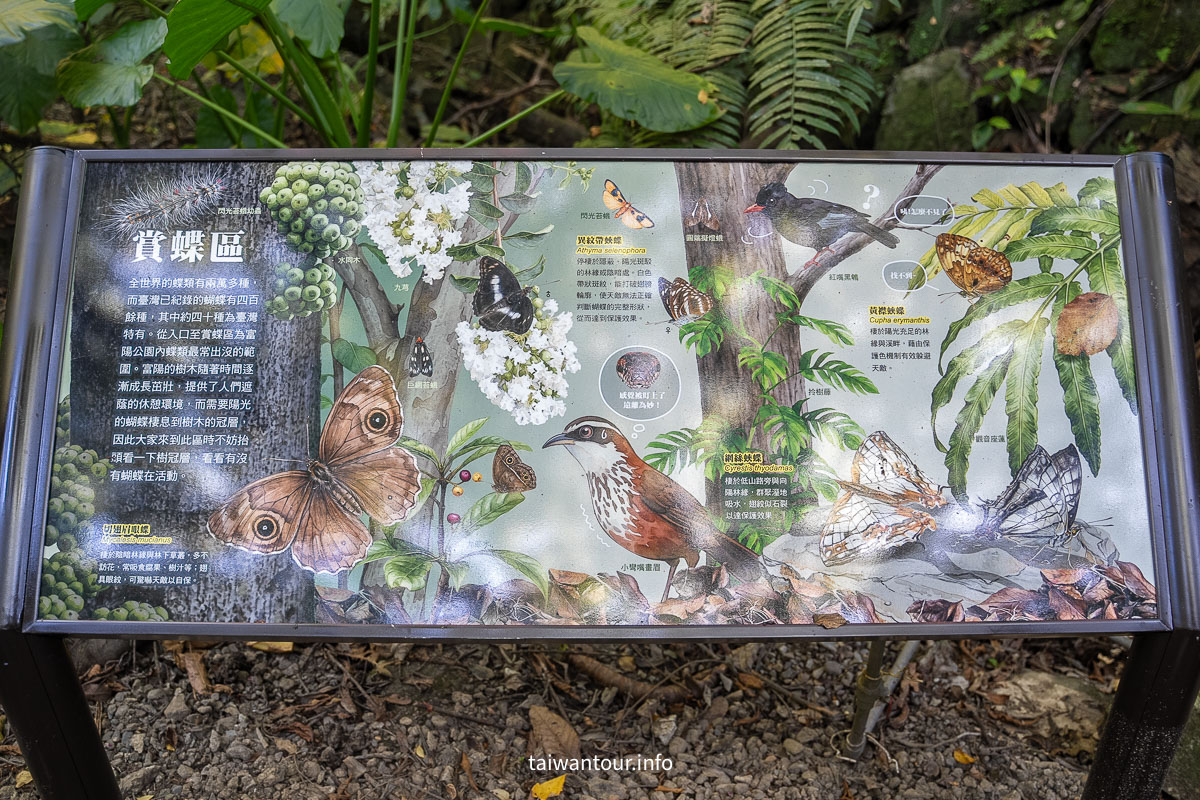 【富陽自然生態公園】台北森林系秘密基地完整指南