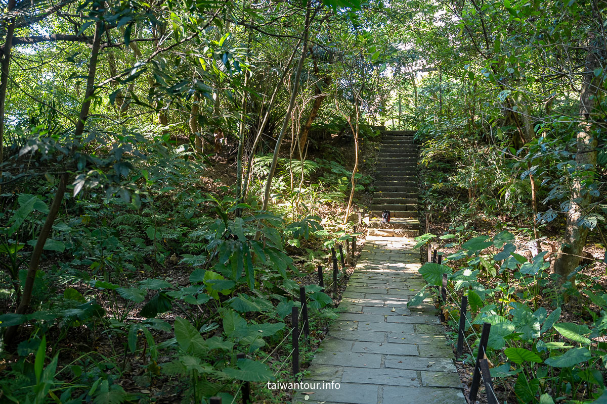 【富陽自然生態公園】台北森林系秘密基地完整指南