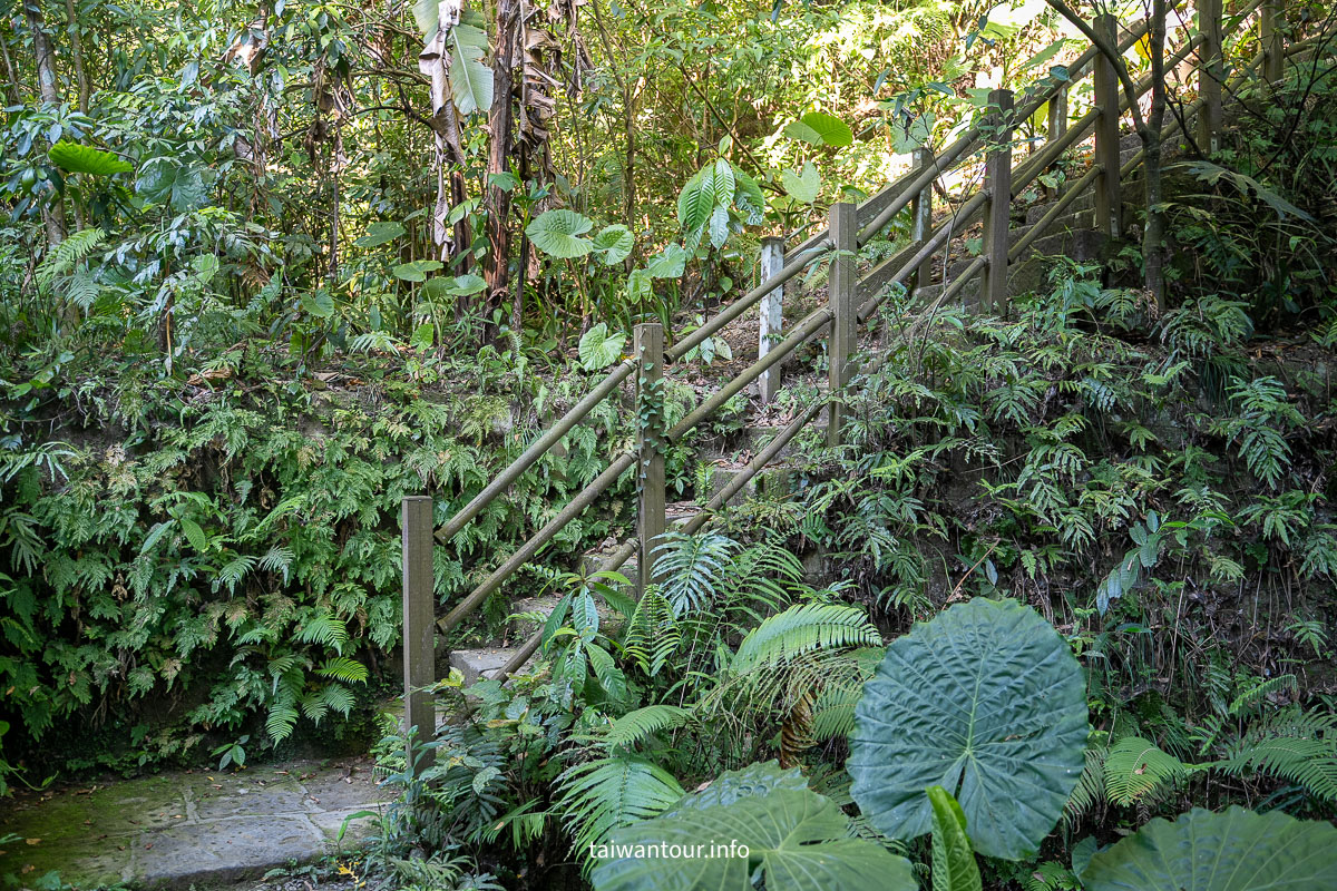 【富陽自然生態公園】台北森林系秘密基地完整指南