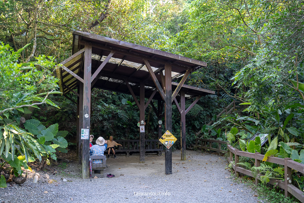 【富陽自然生態公園】台北森林系秘密基地完整指南